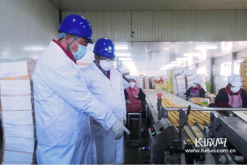 石家莊供電公司暖心服務扶貧微工廠 信息咨詢服務助力鄉村發展